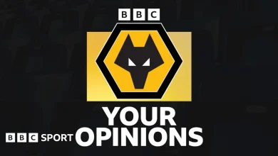 Wolves news: Fan views on new head coach Rob Edwards