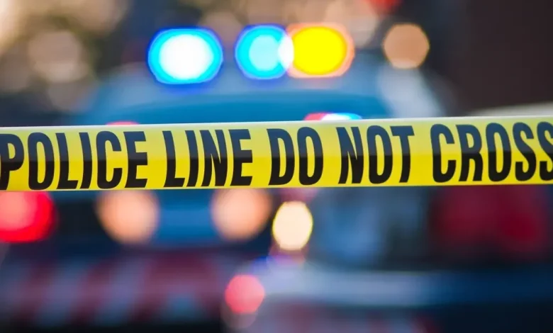 Woman, 22, Killed In Northridge Was Aspiring Recording Artist