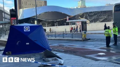 Woman, 34, stabbed in Birmingham attack dies