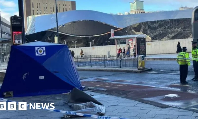 Woman, 34, stabbed in Birmingham attack dies