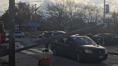 Woman Injured After Hydro Pole Falls on Vehicle in Toronto