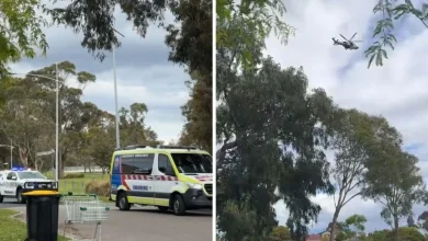 Woman and child drown in Dandenong Creek tragedy