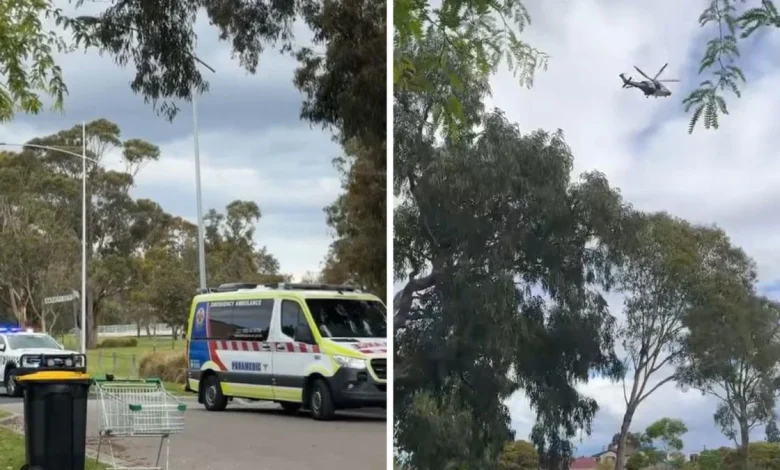 Woman and child drown in Dandenong Creek tragedy
