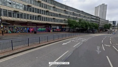 Woman critically injured in Birmingham after being stabbed in neck in 'unprovoked attack'