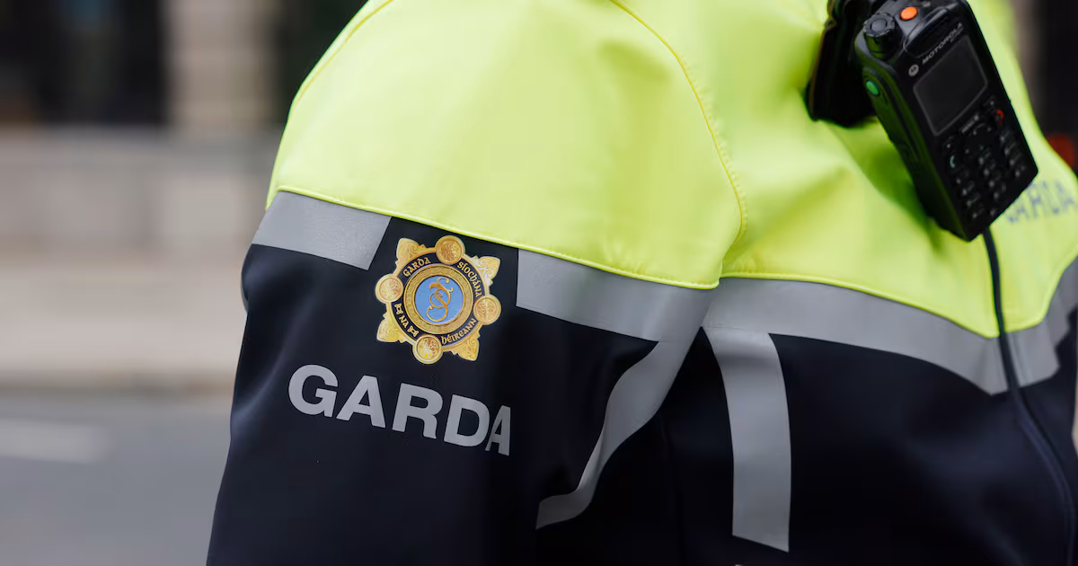 Woman seriously injured after assault by ex-partner who set fire to her Leixlip home before taking his own life