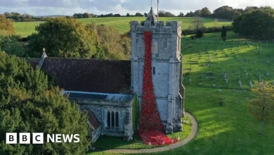 Wool villagers knit 5,000 poppies for Remembrance cascade