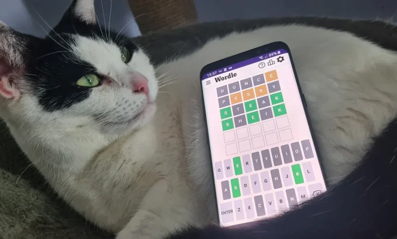 Wordle hint and answer for Friday, November 21