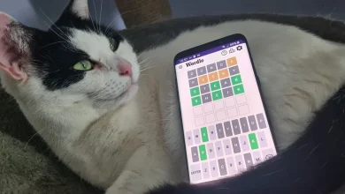 Wordle hint and answer for Tuesday, November 4