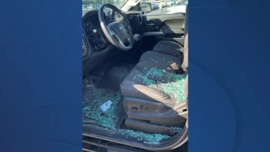 Workers at Nashville Titans Stadium Project Demand Better Security After Car Break-Ins