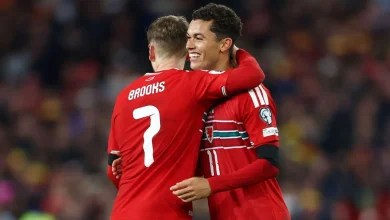 World Cup playoff draw: Wales get Bosnia, likely face Italy in final