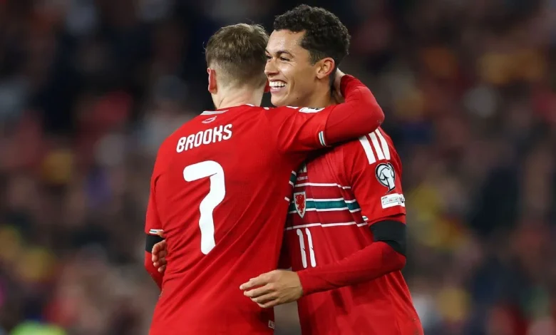 World Cup playoff draw: Wales get Bosnia, likely face Italy in final