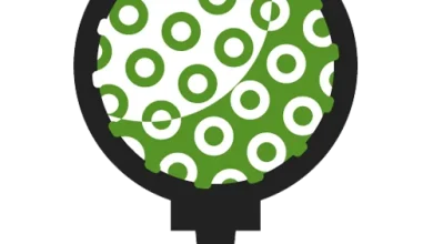 World Wide Technology Championship 2025 - PGA TOUR Golf Leaderboard