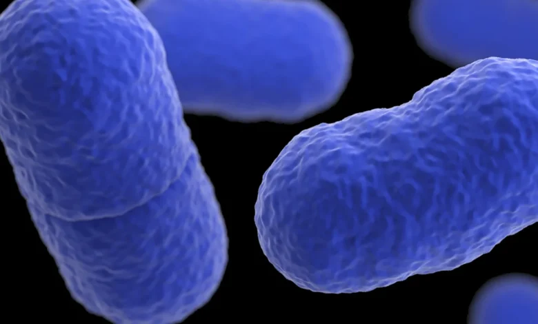 Worsening listeria outbreak tied to pasta products kills 6, hospitalizes 25