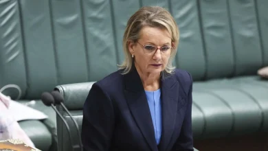 'Worst I've ever seen': Pressure mounts on Sussan Ley after senior Liberal's scathing broadside