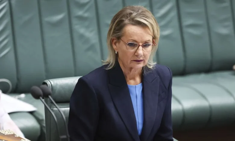 'Worst I've ever seen': Pressure mounts on Sussan Ley after senior Liberal's scathing broadside