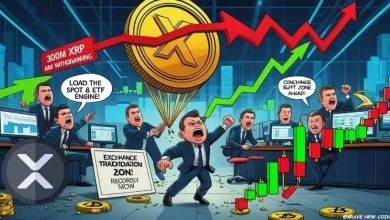 XRP News Today: XRP Reserves on Binance Hit Record Lows as 300M Tokens Exit Amid Rising U.S. ETF Demand
