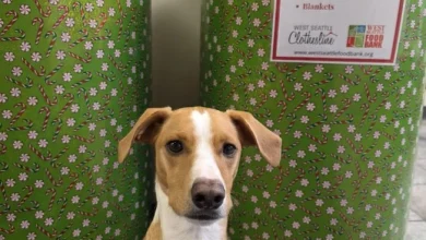 YOU CAN HELP: Annual warm-clothing drive begins at Dave Newman State Farm Insurance Agency