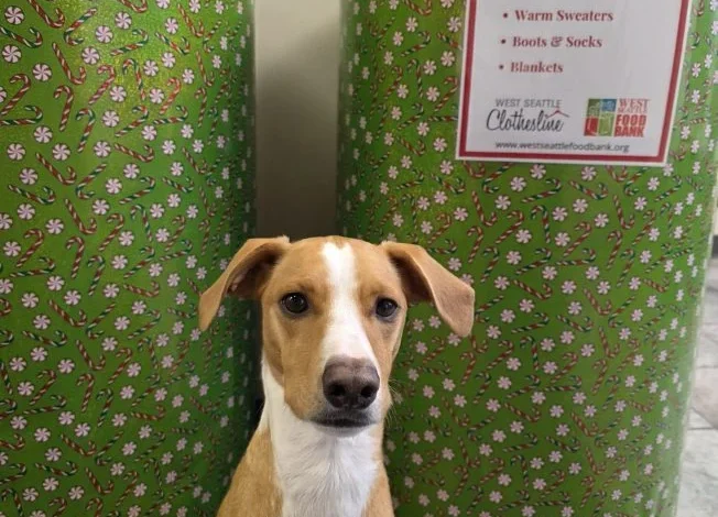 YOU CAN HELP: Annual warm-clothing drive begins at Dave Newman State Farm Insurance Agency