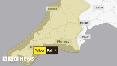 Yellow warning as heavy rain and strong winds to hit south west