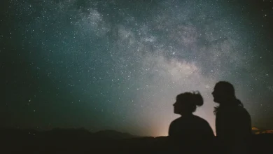 Your Daily Horoscope, According to an Astrologer: November 1, 2025