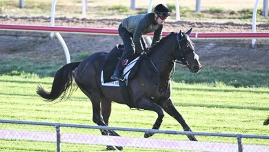 Zahra to ride O'Brien's best yet?