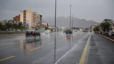 عاجل: الأرصاد تحذر من تقلبات جوية حادة اليوم - شبورة كثيفة وسيول محتملة في 15 محافظة!