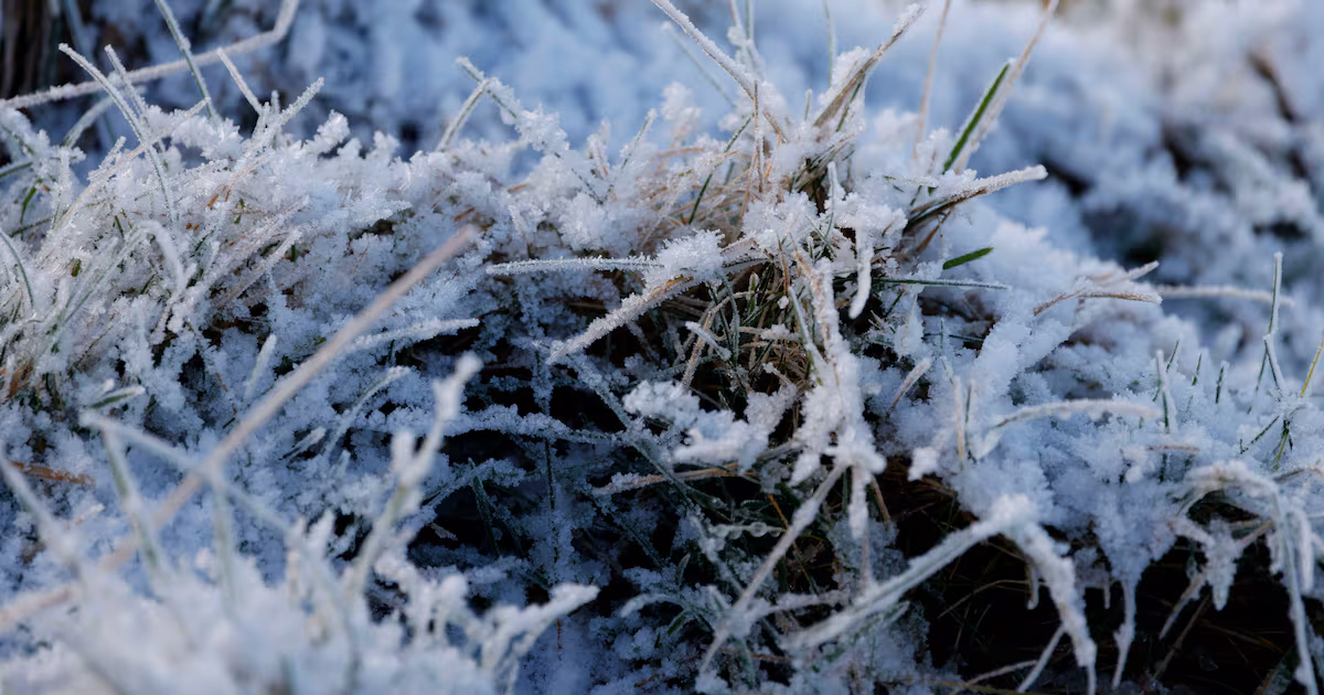 ‘Arctic airmass’ to bring snow, frost and ice to Ireland over coming days
