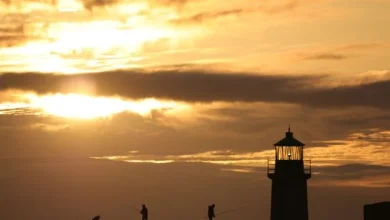 ‘Changeable’ conditions in sight, Met Éireann provides rainy outlook for the days ahead