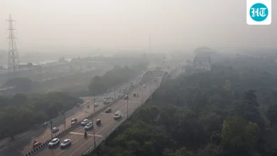 ‘Delhi ki air quality ke charche to global hain’: Paytm’s Vijay Shekhar Sharma reacts to Jonty Rhodes as AQI worsens | Trending