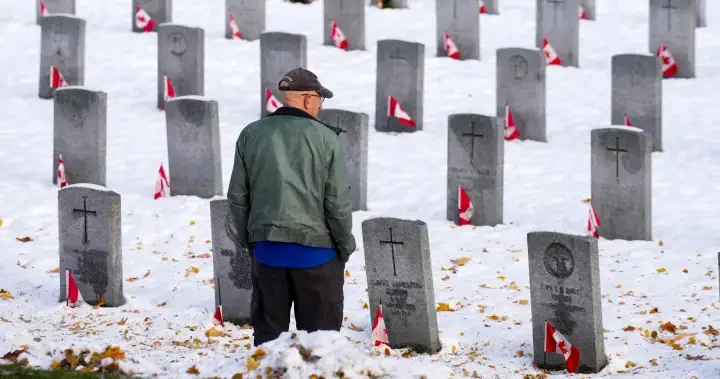 ‘Everybody’s gone’: Canadians mark Remembrance Day as number of veterans dwindle