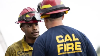 ‘Fire Country’: Jordan Calloway Reveals Why He’s ‘Grateful’ for Battalion Chief Twist