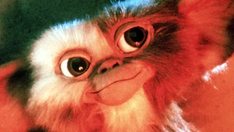 ‘Gremlins 3’: ‘Final Destination’ Duo Zach Lipovsky, Adam B. Stein Join Chris Columbus to Write Script (Exclusive)