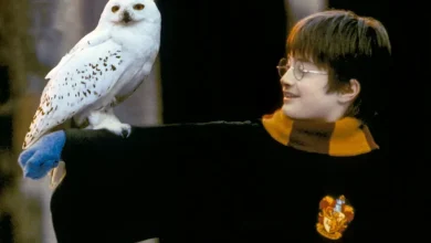 ‘Harry Potter and the Sorcerer’s Stone’ Gets Shared Reality Experience From Cosm and Warner Bros. (EXCLUSIVE)