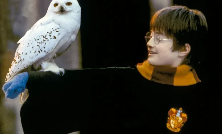‘Harry Potter and the Sorcerer’s Stone’ Gets Shared Reality Experience From Cosm and Warner Bros. (EXCLUSIVE)