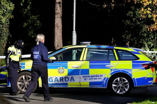 ‘I’m going to die’ – locals tell of man’s pleas for help after stabbing in Dublin housing estate