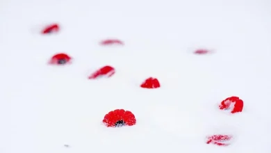 ‘It’s about all of us’: Armed Forces, veterans gather for Remembrance Day in Montreal