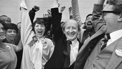 ‘Michael D Higgins: Ireland’s Ninth President’ review: Early career makes for captivating viewing before delving into the ‘cuddly’ years
