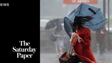 ‘Practically unusable’: Inside the BoM’s website shambles