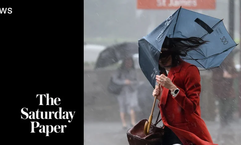 ‘Practically unusable’: Inside the BoM’s website shambles