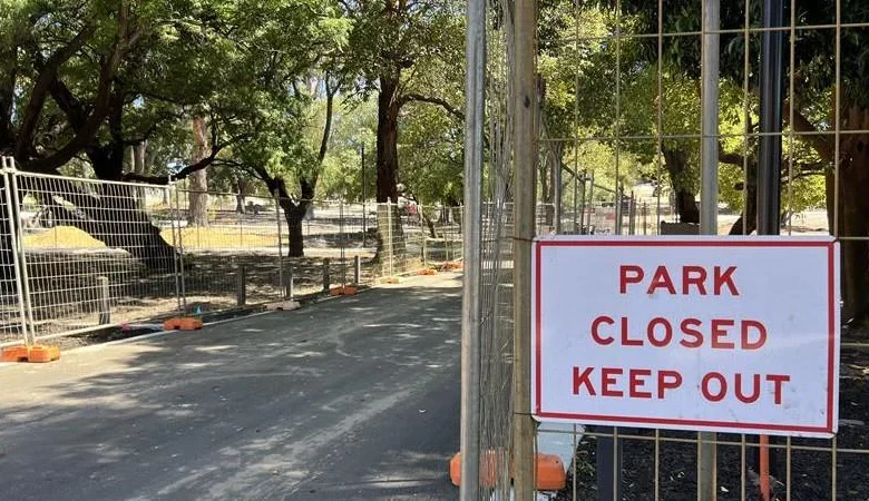 ‘Simply not good enough’: Council axes 46 trees by mistake