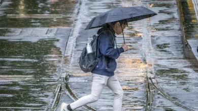 ‘Sluggish start to summer’ forecast after wettest spring in a decade