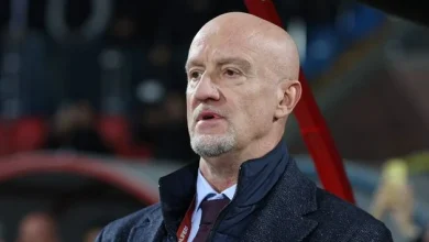 ‘The Irish, like all the British players, do their job on the pitch’ – Hungary boss ready for World Cup battle against Ireland