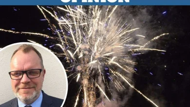 ‘There’s no point complaining about fireworks frightening your pets’