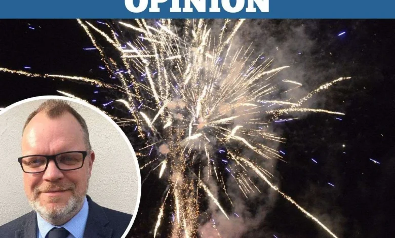 ‘There’s no point complaining about fireworks frightening your pets’