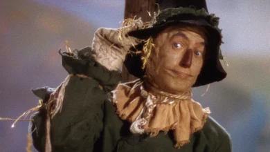 ‘Wicked: For Good’ Fans Have Questions About The Scarecrow