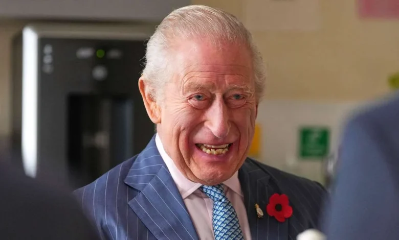 „Für meinen Mann und mich eine besondere Ehre“: „Let’s Dance“-Star beim Staatsbankett von König Charles