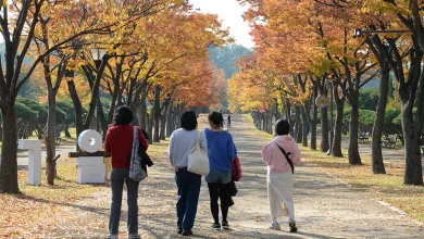 가을 건너뛴 줄 알았더니…“패딩 다시 넣어야겠네” [오늘날씨]
