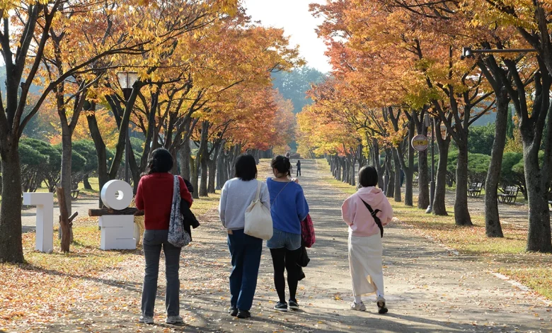 가을 건너뛴 줄 알았더니…“패딩 다시 넣어야겠네” [오늘날씨]