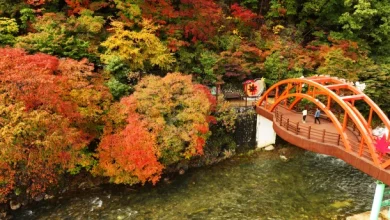 겨울 시작하는 '입동'이지만 포근…큰 일교차 유의해야[오늘의 날씨]
