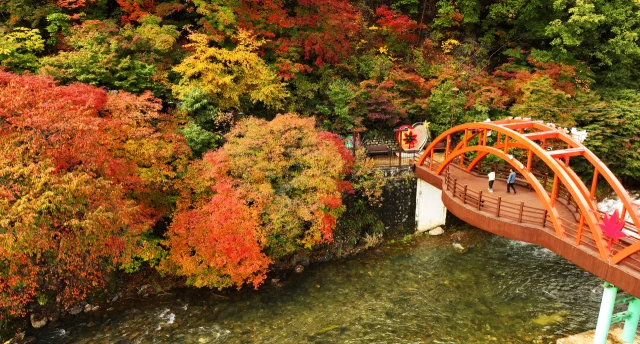 겨울 시작하는 '입동'이지만 포근…큰 일교차 유의해야[오늘의 날씨]